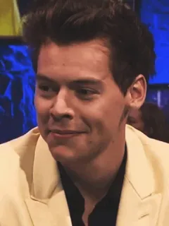 💵 4e725c85 Harry Styles Harry Styles, piosenkarz, celebryta, gwiazda pop, muzyk telegram sticker