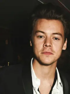 💴 6aa53701 Harry Styles piosenkarz, celebryta, gwiazda pop, One Direction, Harry Styles telegram sticker