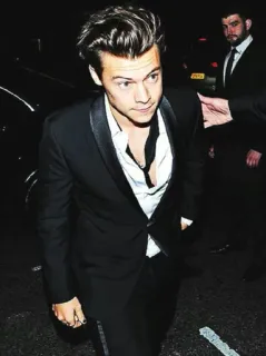 💵 fb9ceac4 Harry Styles muzyk, piosenkarz, Harry Styles, celebryta, moda telegram sticker