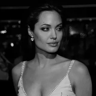 🗽 d277dbe9 Angelina Jolie aktorka, celebrytka, portret, czarno-białe, kobieta telegram sticker
