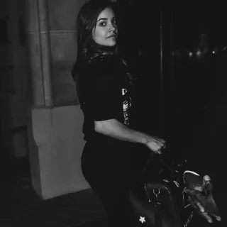 🕊 40f38f9f telegram sticker