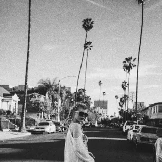 📎 2c03e232 vrouw, straat, palmbomen, stad, zonnebril, zwart-wit, reizen, stedelijk telegram sticker