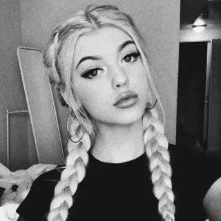 📎 d156ae40 vrouw, meisje, portret, blond, vlechten, schoonheid, mode telegram sticker