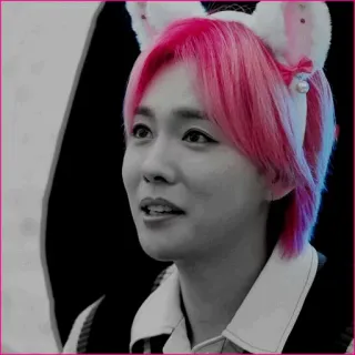 🕷 a5746ffc telegram sticker