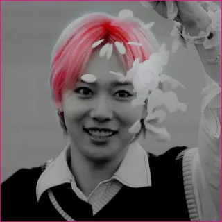 🥀 c85dbcac 人物, 粉色头发, 微笑, 花瓣, 黑白 telegram sticker