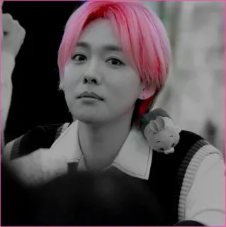 🕷 ddd9a2d4 telegram sticker