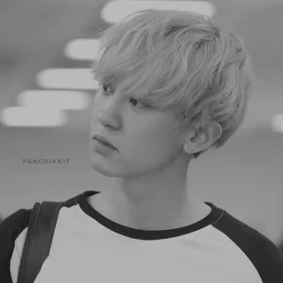 🎣 43b17bbe PANCRIJAK17 ภาพเหมือน, ผู้ชาย, ขาวดำ, คน, คนเกาหลี telegram sticker