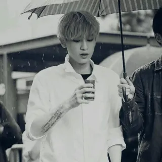 ⚖ 7bdd769f telegram sticker