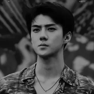 ✖️ 060f2943 mężczyzna, portret, koreański, idol, sehun, exo, męski, przystojny whatsapp sticker
