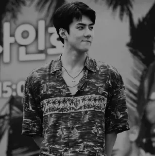 ✖️ 2e7abe97 mężczyzna, koszula, koszula hawajska, osoba, czarno-białe whatsapp sticker