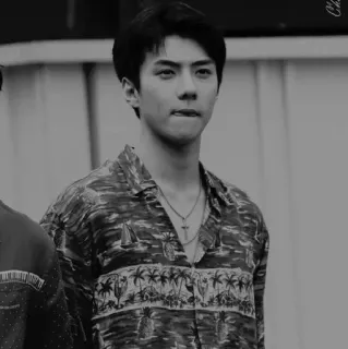 ✖️ 5a8b0acd mężczyzna, osoba, koszula, naszyjnik, koreański, koszula hawajska whatsapp sticker