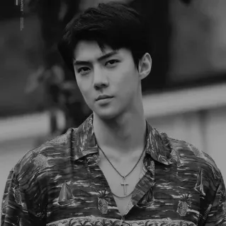 ✖️ 68715761 mężczyzna, osoba, portret, czarno-białe, monochromatyczny whatsapp sticker