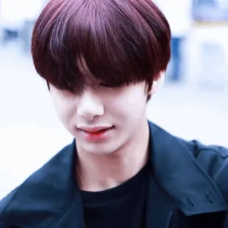 🥂 cd2d7ae5 telegram sticker