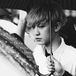 💸 4ac909b3 telegram sticker