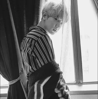 🕸 6bc8ea07 homme, portrait, personne, noir et blanc, intérieur, fenêtre, rideaux telegram sticker