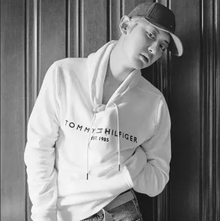 💸 8ae7454f TOMMY HILFIGER EST. 1985 tommy hilfiger, mode, vêtements, sweat à capuche, portrait, homme telegram sticker