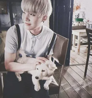 🌌 b9b2cff6 hombre, perro, interior, silla, persona, mascota, sentado telegram sticker