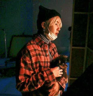 🌌 cd1498aa persona, perro, mascota, franela, gorro, máscara telegram sticker