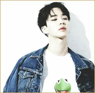 ⚖ 0bafddfc man, kermit de kikker, spijkerjas, kpop, beroemdheid telegram sticker