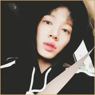 📰 541dd1af portret, persoon, hoodie, selfie, casual, binnen telegram sticker