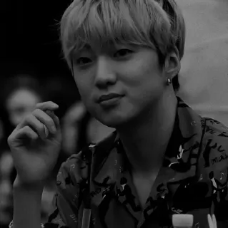 🇦🇱 1949f5fc telegram sticker