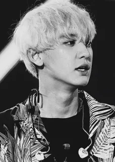 🍾 24c03bb7 telegram sticker