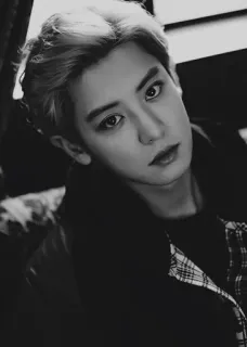 ✨ 26c8183a คน, ผู้ชาย, ภาพเหมือน, ขาวดำ, หน้า telegram sticker