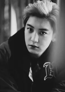 🥀 3b1a356c คน, ภาพเหมือน, ขาวดำ, นางแบบ, ผู้ชาย, ใบหน้า telegram sticker