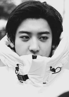 🌚 3d792836 ผู้ชาย, เกาหลี, ไอดอล, นักร้อง, ฤดูหนาว, เสื้อแจ็คเก็ต, ขาวดำ, ภาพเหมือน telegram sticker