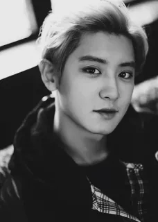 🍾 687d0733 telegram sticker