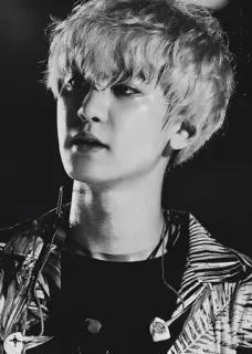 🍾 93a1d940 telegram sticker