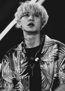 ✨ 970ce922 คน, ผู้ชาย, ภาพเหมือน, kpop, นักร้อง, นักดนตรี telegram sticker