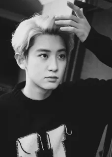 ✨ c9713f1b telegram sticker