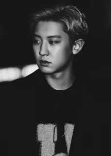 🌚 cb398a1d เกาหลี, ผู้ชาย, เพศชาย, ภาพเหมือน, ขาวดำ, คน telegram sticker