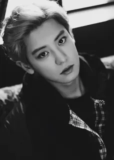 🥂 ceefa58f ผู้ชาย, ภาพเหมือน, ใบหน้า, ขาวดำ, คน, ผู้ชาย telegram sticker