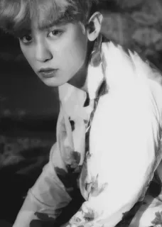 ✨ ddad65d9 Chanyeol kpop, นักร้อง, ไอดอล, เพลง, ภาพบุคคล, ขาวดำ, exo telegram sticker