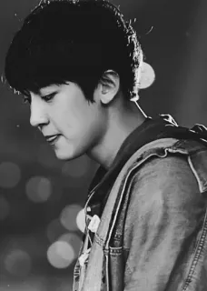 🥀 df479e8f telegram sticker