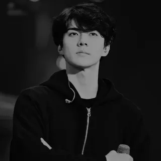 🖇 245ec10c homem, retrato, preto e branco, moletom com capuz, pessoa, microfone telegram sticker