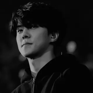 🖇 9484db57 homem, moletom com capuz, retrato, preto e branco, pessoa telegram sticker