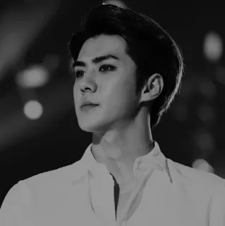 ✖️ edd08097 homem, retrato, preto e branco, masculino, pessoa, rosto telegram sticker