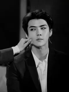 🏹 0212c461 Sehun Сехун, EXO, K-pop, певец, актер, стильный, красивый telegram sticker