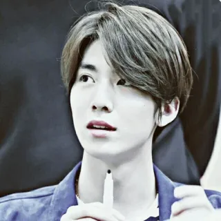 🖇 486d9ab2 telegram sticker