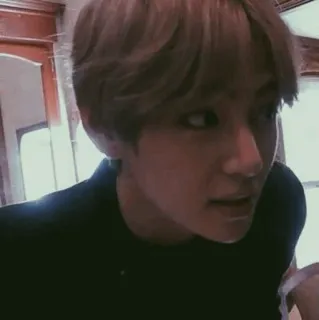 🗽 23836268 telegram sticker