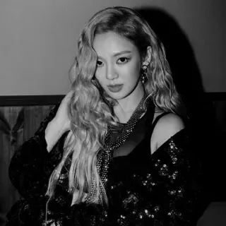 🕊 ee2d895c Frau, Porträt, Schwarzweiß, blonde Haare, Ohrringe, Mode telegram sticker