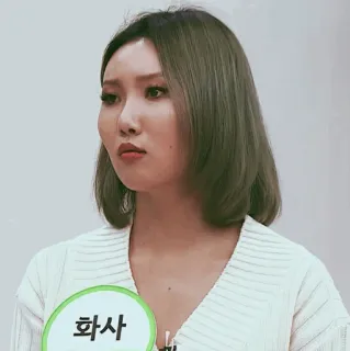 🕯 463186ea Hwasa 화사 kpop, celebryta, piosenkarz, koreański, portret telegram sticker