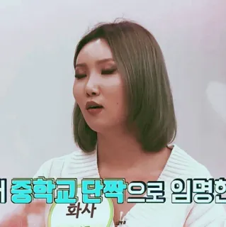 🕯 7a896960 Hwasa 개중학교 단짝으로 임명현 kpop, hwasa, mamamoo, koreański, celebryta, mem telegram sticker