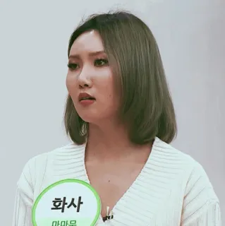 🕯 892beae3 Hwasa Mamamoo 화사
마마무 K-pop, Piosenkarz, Muzyka, Artysta, Gwiazda telegram sticker