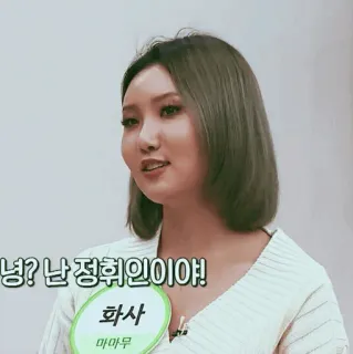🕯 d0f58fcd Hwasa 화사 kpop, Mamamoo, piosenkarka, idol telegram sticker