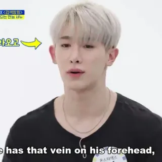 🏹 7d2a13d7 <검색창희>
되는 만능 셔누
나오고
he has that vein on his forehead,
몬스타엑스 personne, K-pop, homme, Monsta X, divertissement telegram sticker