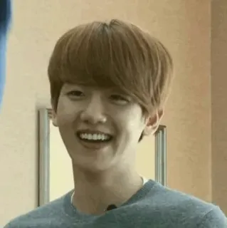 🌿 ddc4c72e person, lächeln, mann, porträt whatsapp sticker